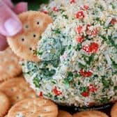 Spinach Artichoke Cheese Ball with cheddar and bell peppers served with crackers